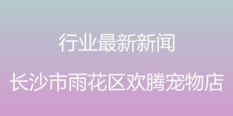 行业最新新闻 - 长沙市雨花区欢腾宠物店