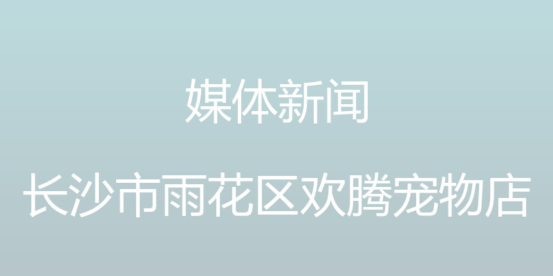 媒体新闻 - 长沙市雨花区欢腾宠物店